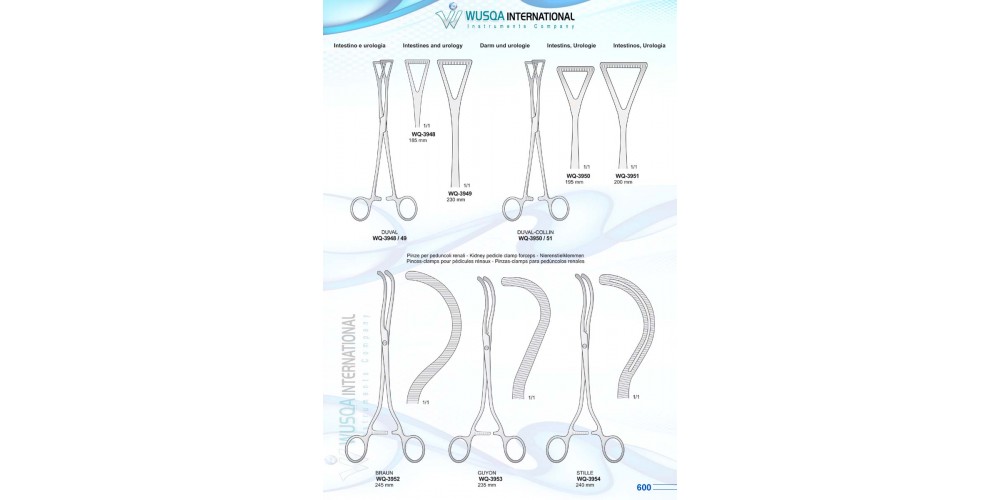 Intestine and Urology 